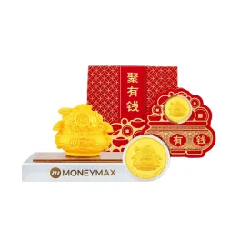 999.9 CNY Bundle B 聚有钱 Fortune Gold Pot Coin Collection