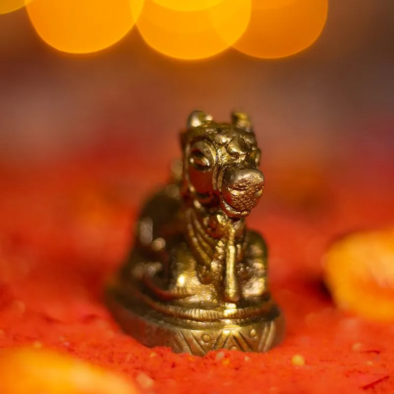 Antique Brass Nandi - Small