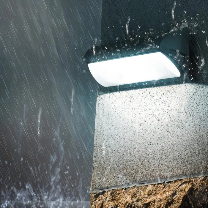Aster Outdoor Wall Lamp