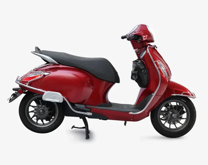 Bajaj Chetak Electric (EV) Combo Accessories Kit 1: Stainless Steel Foldable Footrest   Crash Guard   Mud Guard