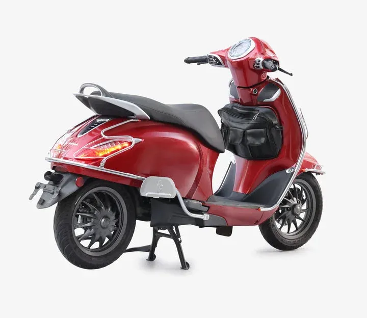 Bajaj Chetak Electric (EV) Combo Accessories Kit 1: Stainless Steel Foldable Footrest   Crash Guard   Mud Guard