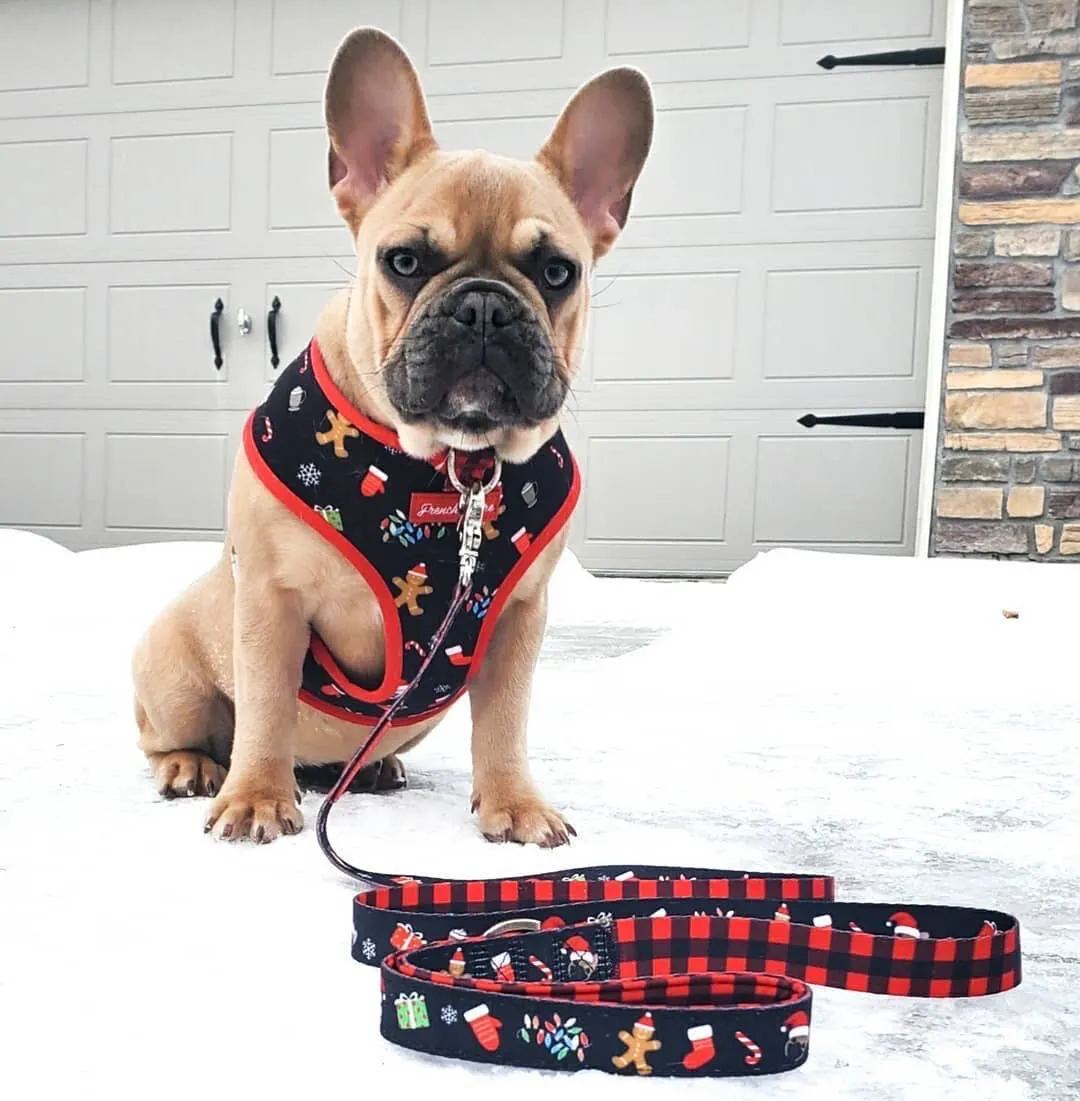 Frenchiestore Luxury Leash | Red Buffalo Plaid