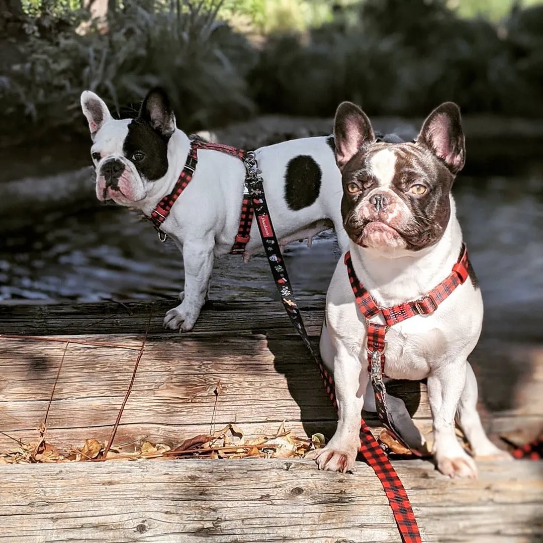 Frenchiestore Luxury Leash | Red Buffalo Plaid