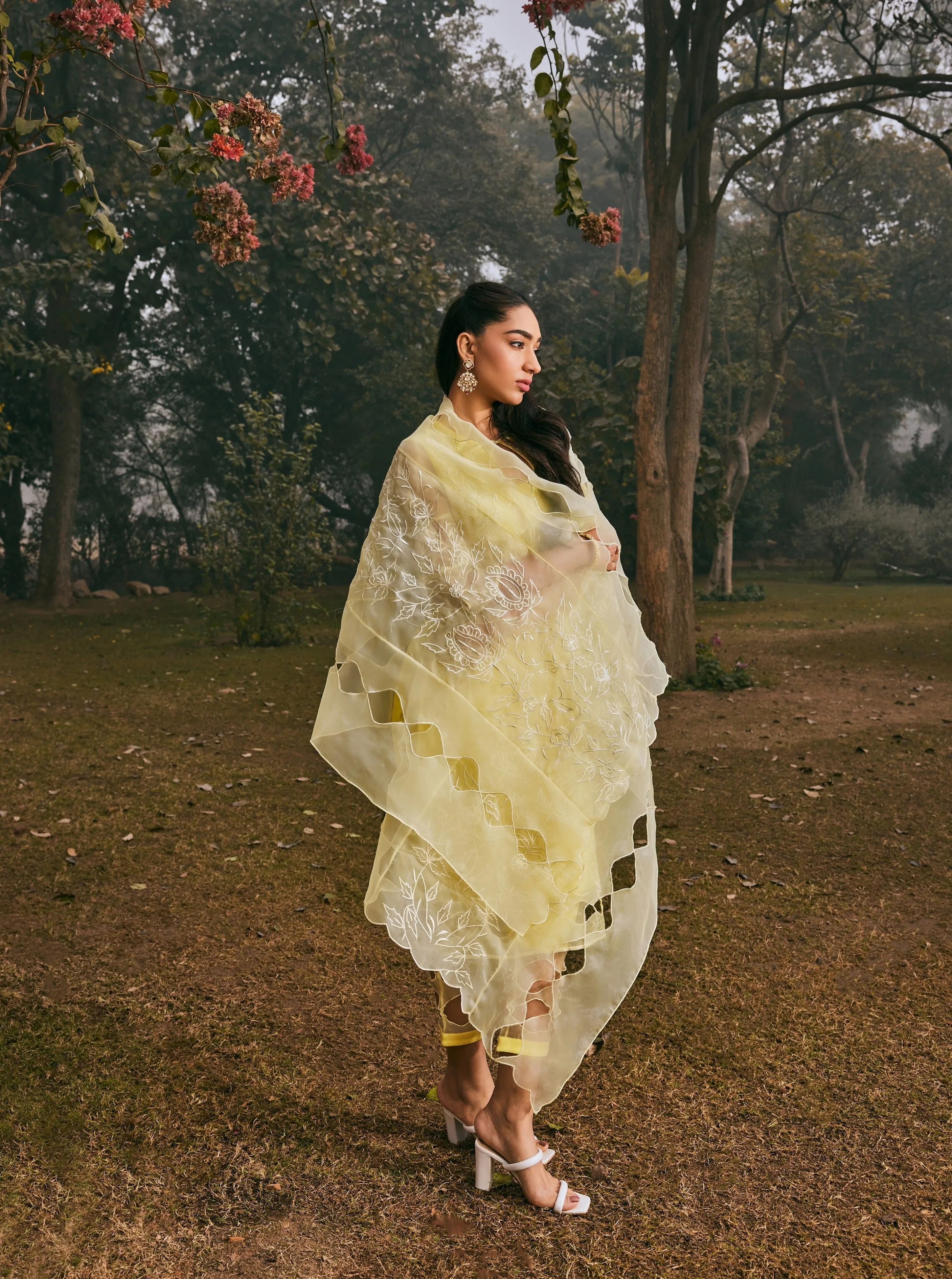 Mazneen Yellow Organza Kurta Set
